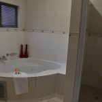 WhatsApp Image 2022-08-20 at 2.35.59 PM