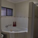 WhatsApp Image 2022-08-20 at 2.36.00 PM